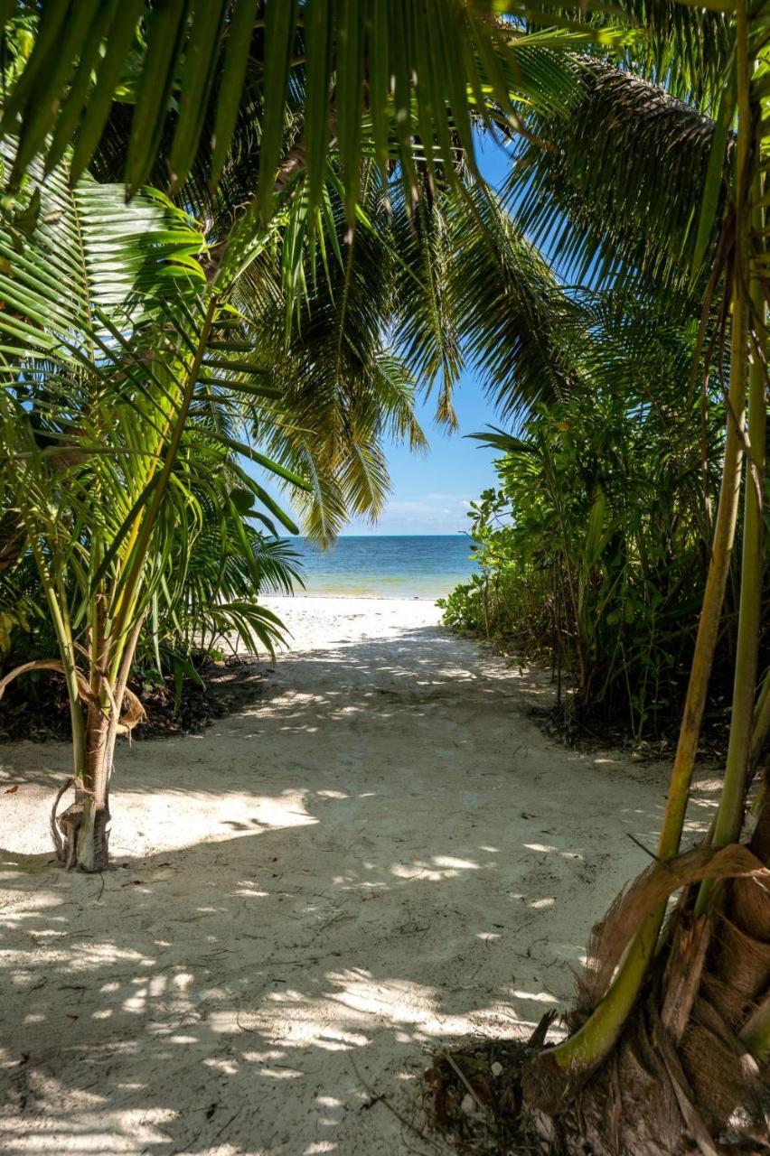Bliss Hotel Praslin Grand Anse  Exteriör bild